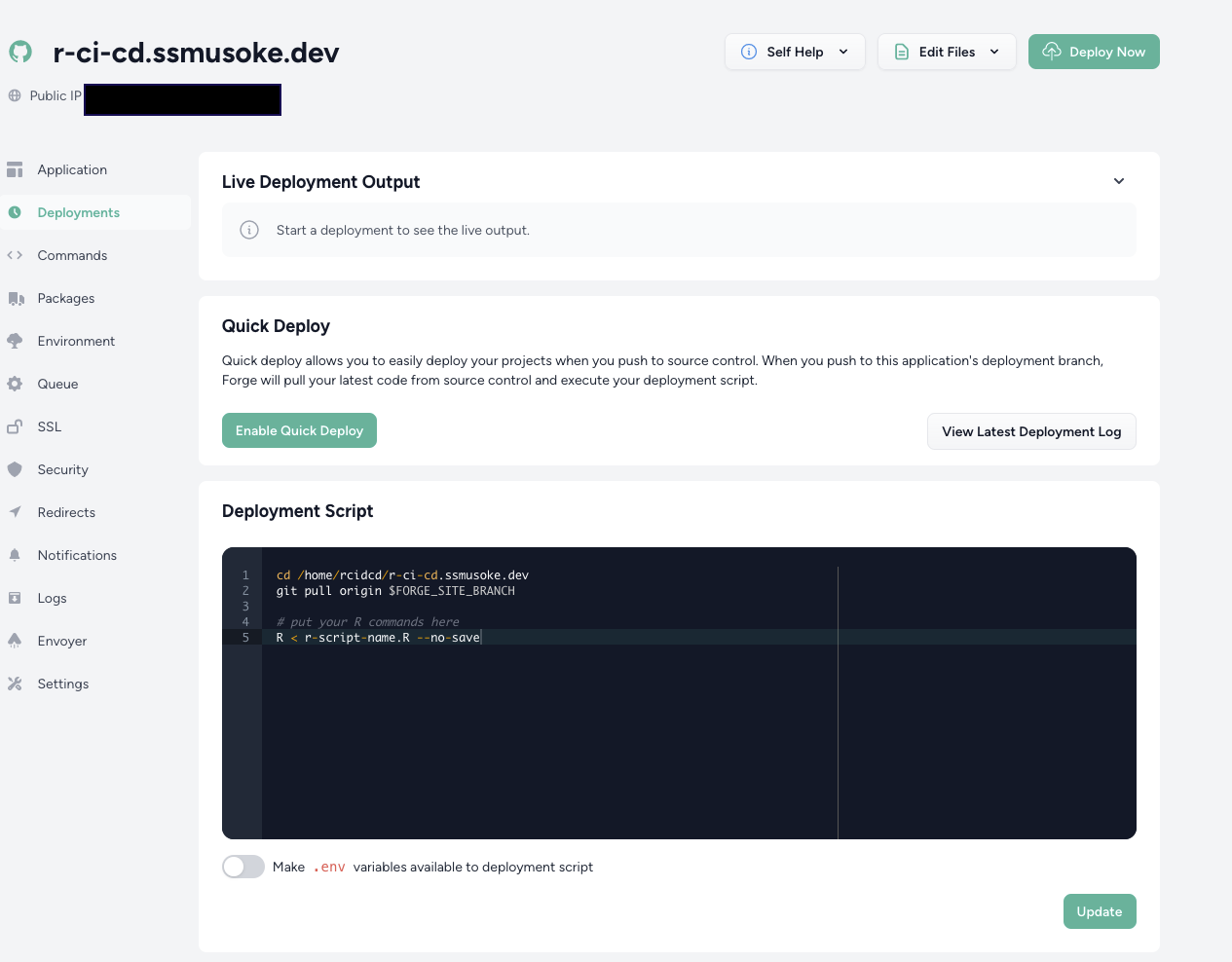 R execution script 